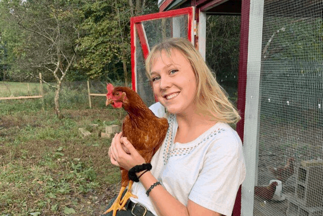 The Homestead welcomes a group of new chickens