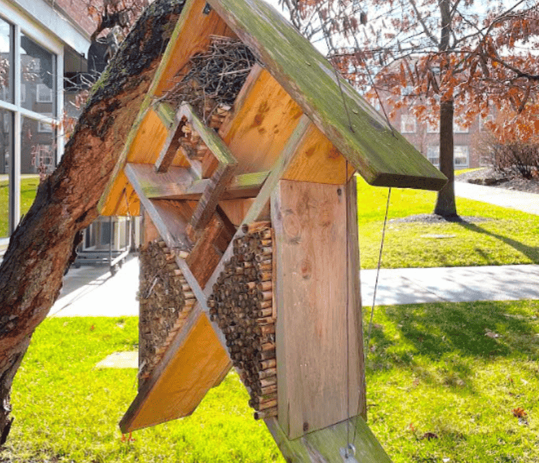 Art and biology students collaborate to nurture pollinators with “bee hotels”