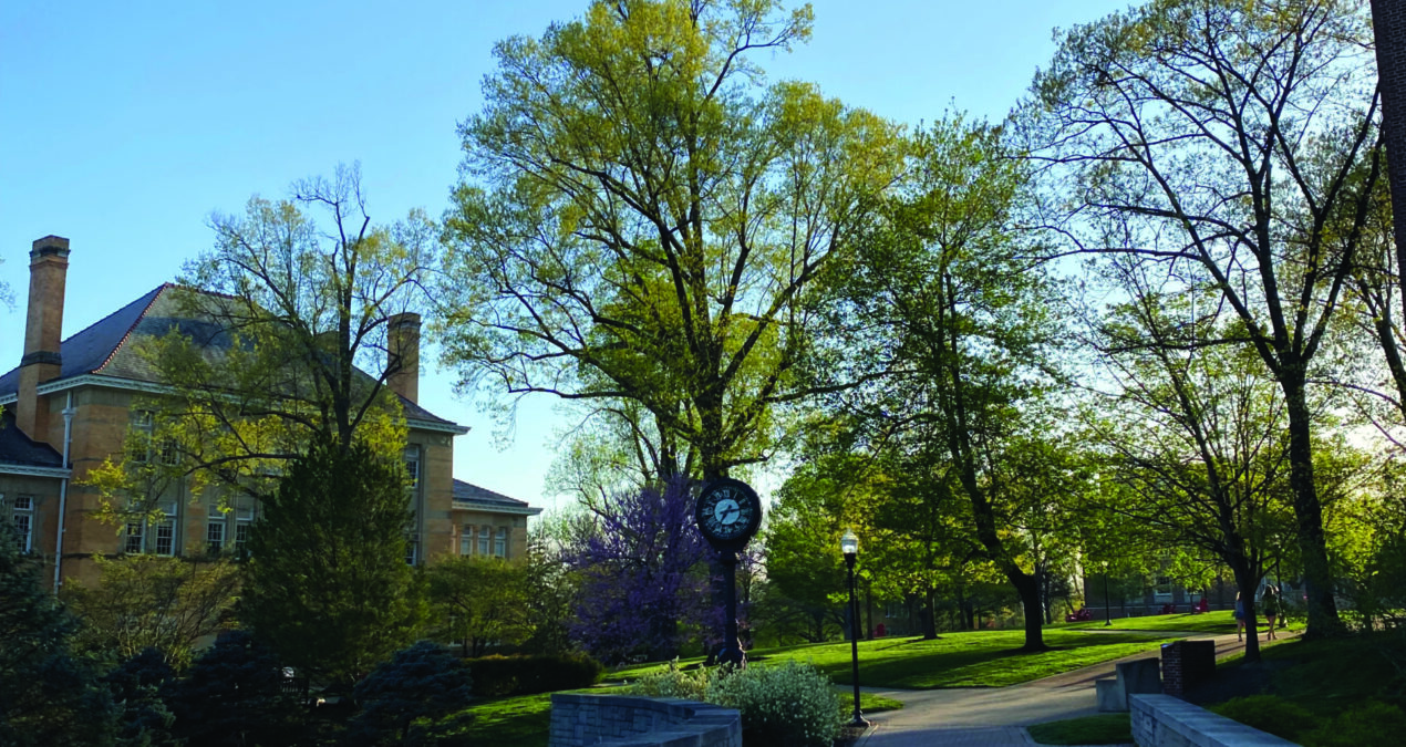 Horticulture at Denison: How groundskeepers beautify campus 