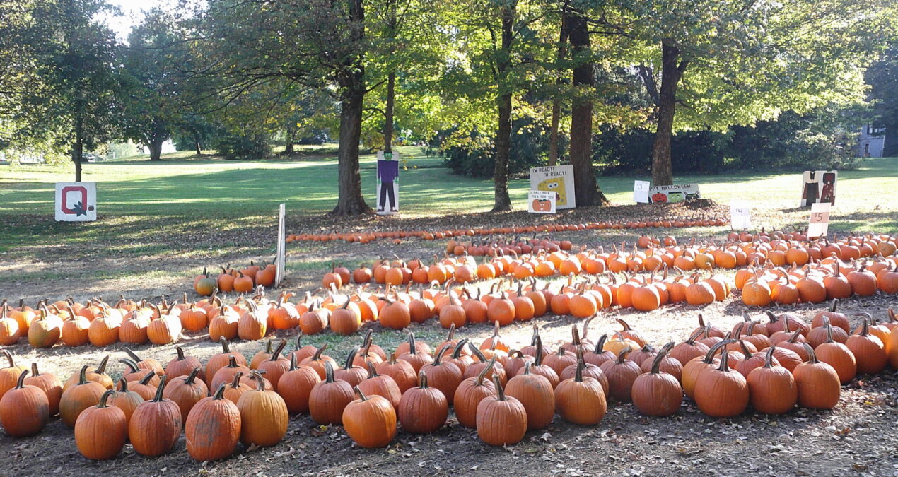 ‘Pumpkins and Peace’ puts students in the fall mood