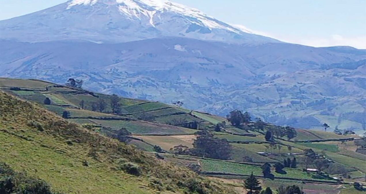From the Andes to Asia, Denison Alumni Reflect on Life in the Peace Corps