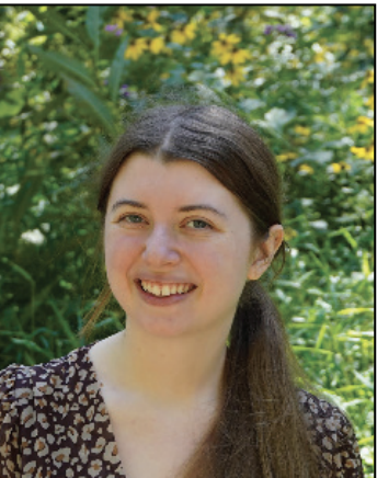 Iceberg or rock, sink or float